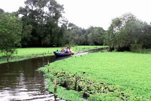 Tour du lịch sinh thái rừng dừa nước Bảy Mẫu